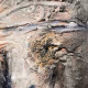 Rugged mixed media drawing of a head (detail 1)