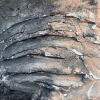 Rugged mixed media drawing of a head (detail 3)