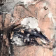 Rugged mixed media drawing of a head (detail 1)