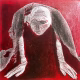 Crawling Woman I (red)
