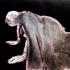 Crawling Woman II (black/red)