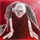 A woman crawls along the ground. She is bald, skeletal and covered in a removal blanket. Printed and tinted/shaded in red.