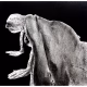 A woman crawls along the ground. She is bald, skeletal and covered in a removal blanket. Printed and tinted/shaded in black.