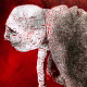 Detail: A woman crawls along the ground. She is bald, skeletal and covered in a removal blanket. Printed and tinted/shaded in red.