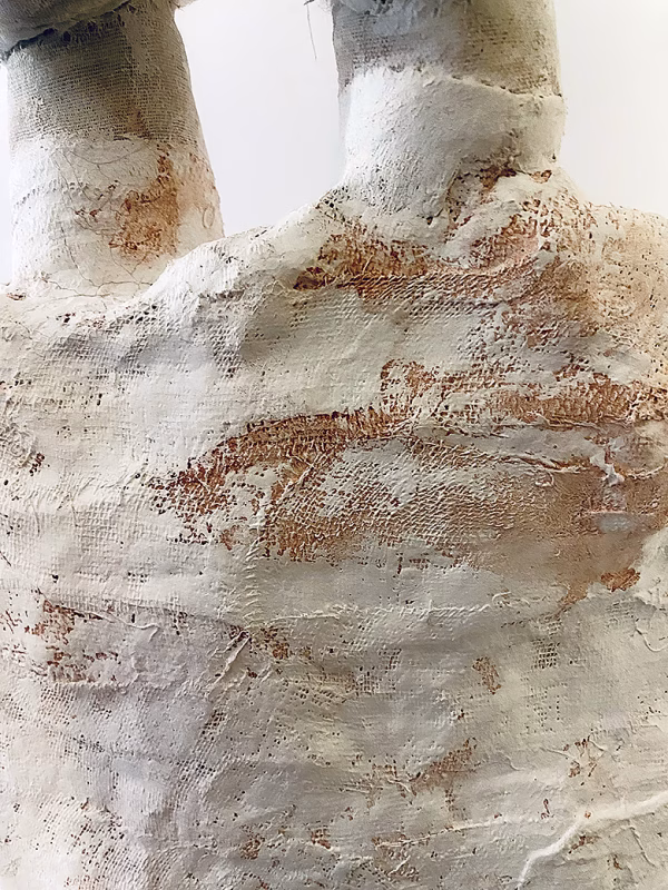 Skeletal torso sculpture detail