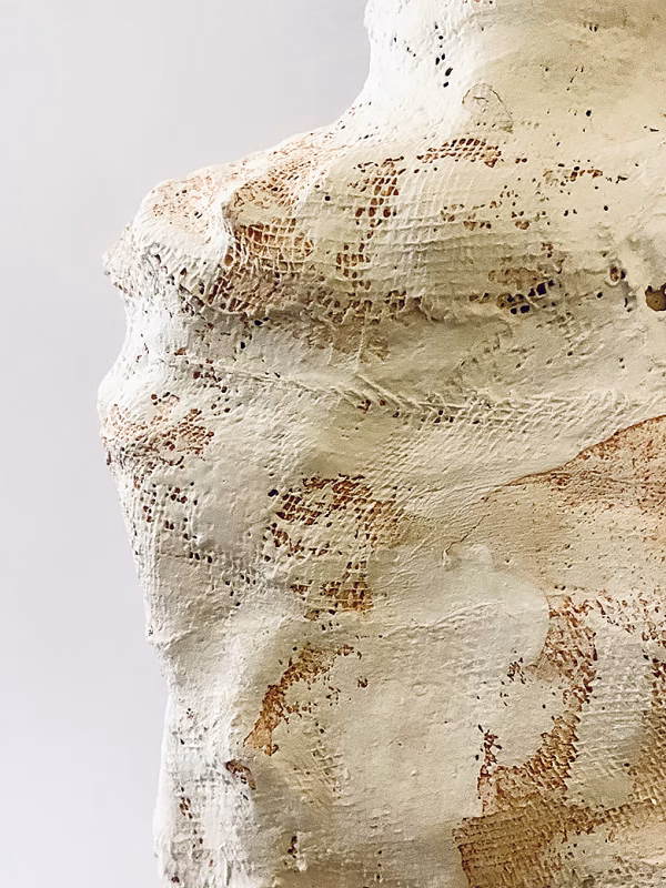 Skeletal torso sculpture detail